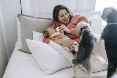 Secretos para una convivencia armoniosa con tu mascota poco común