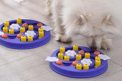Juguetes y actividades divertidas para estimular a tu mascota