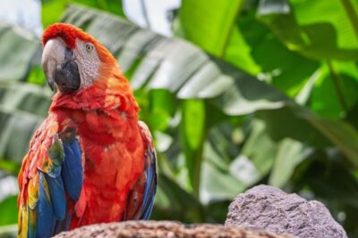 Los mejores productos de cuidado para mascotas exóticas