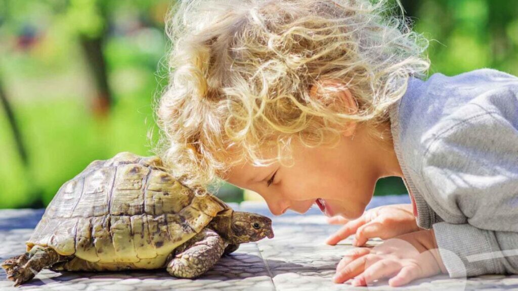 Entrenamiento básico para mascotas poco comunes: ¿es posible?